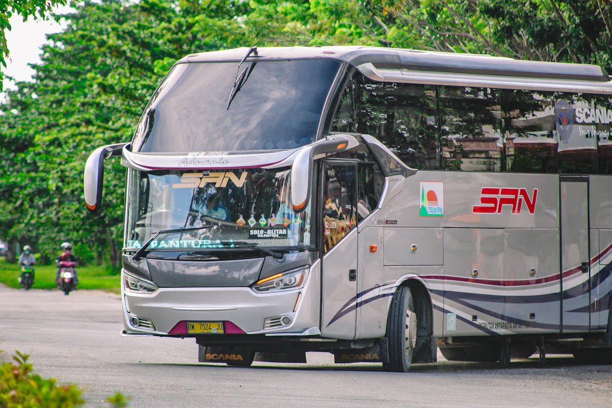 Autobus na ceste lemovanej stromami